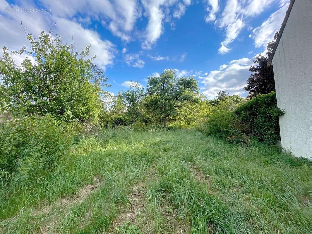 Photo 3 - Terrain à CHAMPIGNY