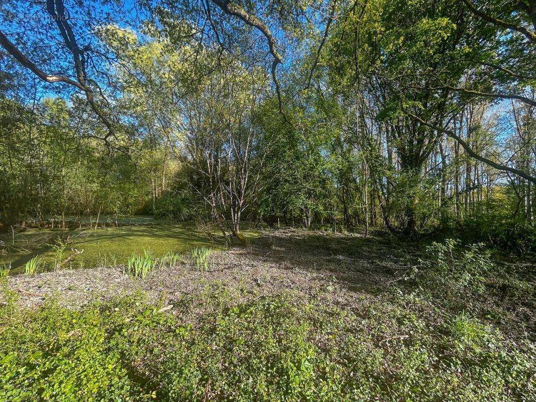Terrain à VILLEFRANCHE-SUR-CHER