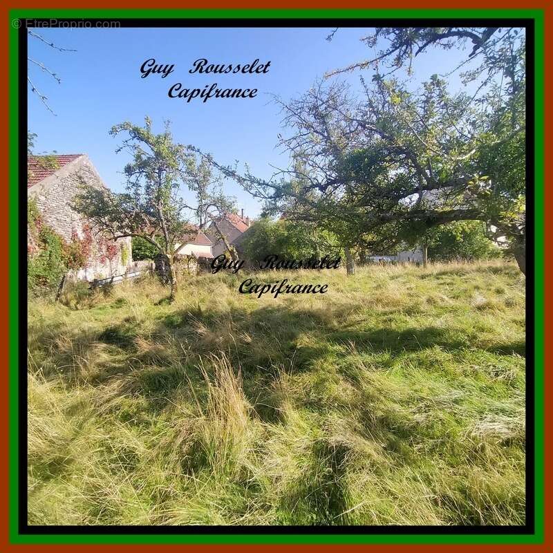 Terrain à VIC-DE-CHASSENAY