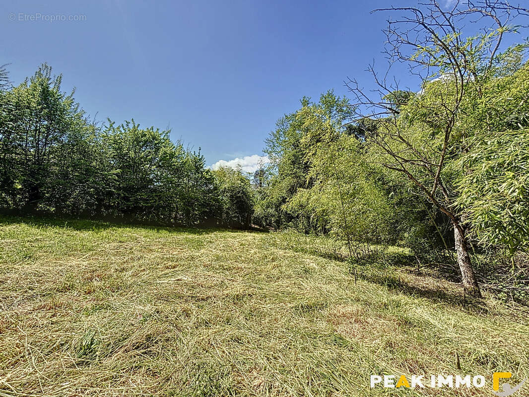 Terrain constructible 1762 m2 - Chindrieux - photo 4