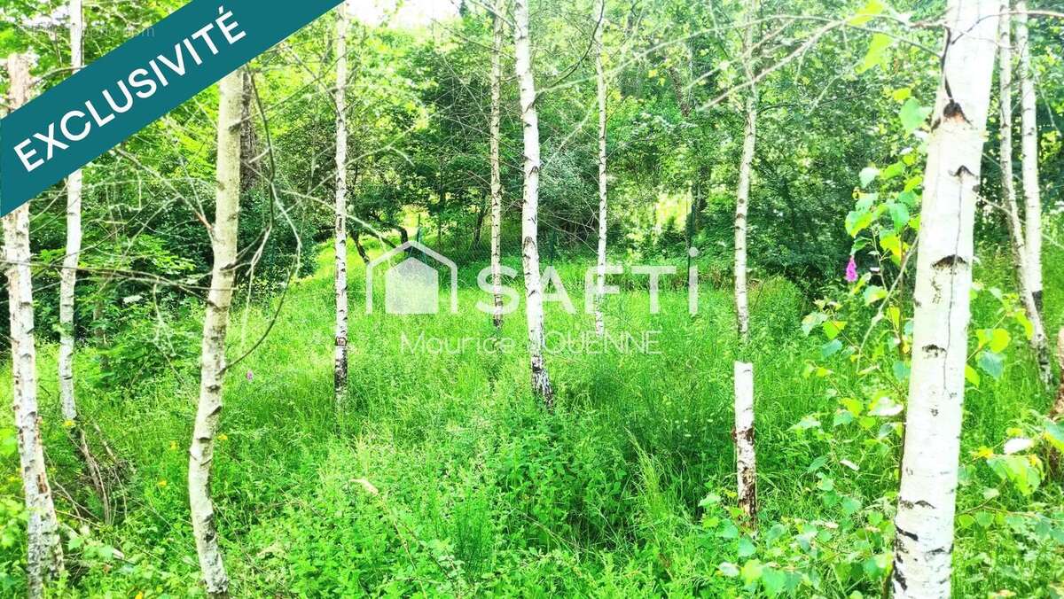 Photo 5 - Terrain à CORNIMONT