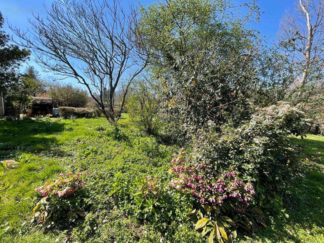Maison 6 pièces LANGESSE - photo 13
