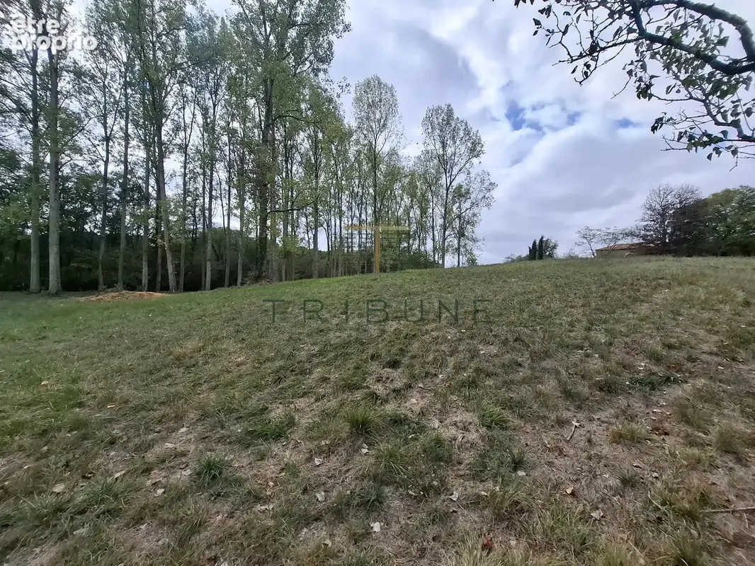 Longère en pierres avec piscine, grange et prairie, à 20 minutes d'Agen et de Villeneuve sur Lot - photo 26