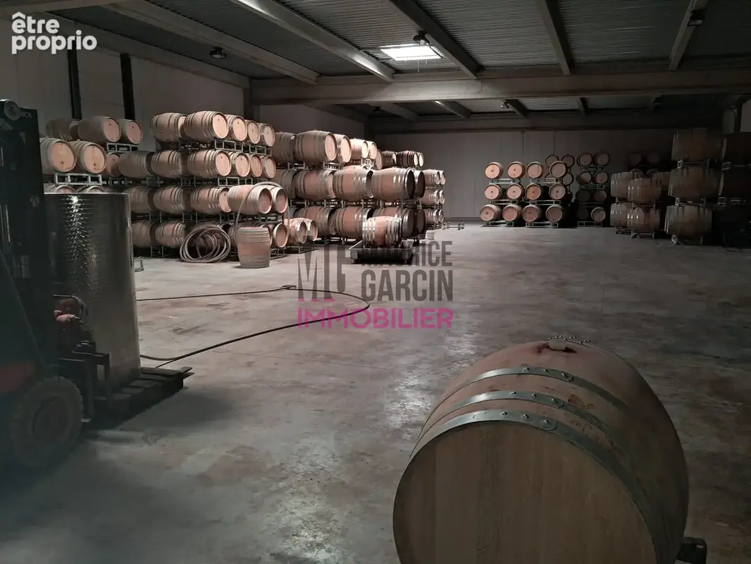 Commerce 1 100 m² à vendre à Seguret (84110) - photo 2