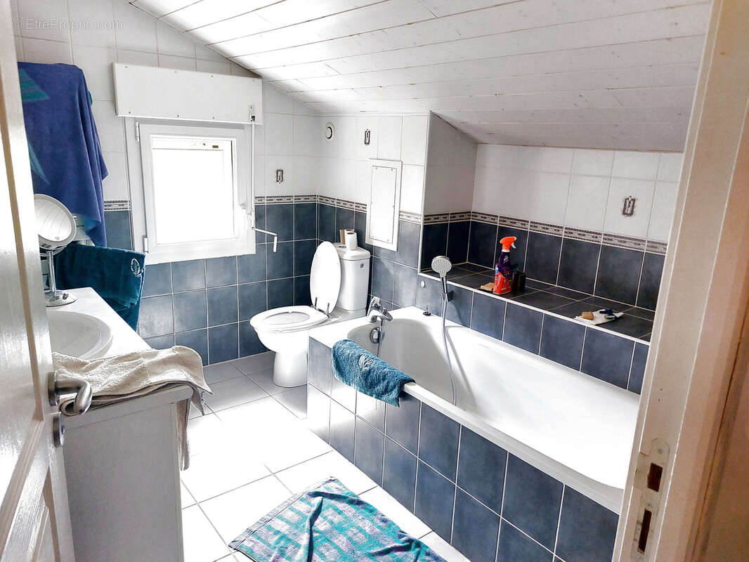 Maison à BELLERIVE-SUR-ALLIER