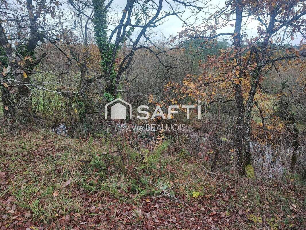 Photo 9 - Maison à BEAUMONT-DU-PERIGORD