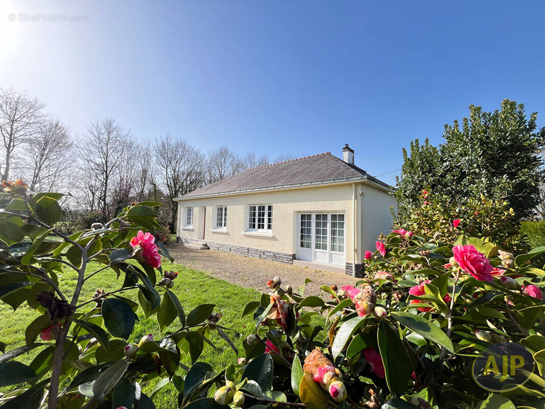 Maison à SUCE-SUR-ERDRE