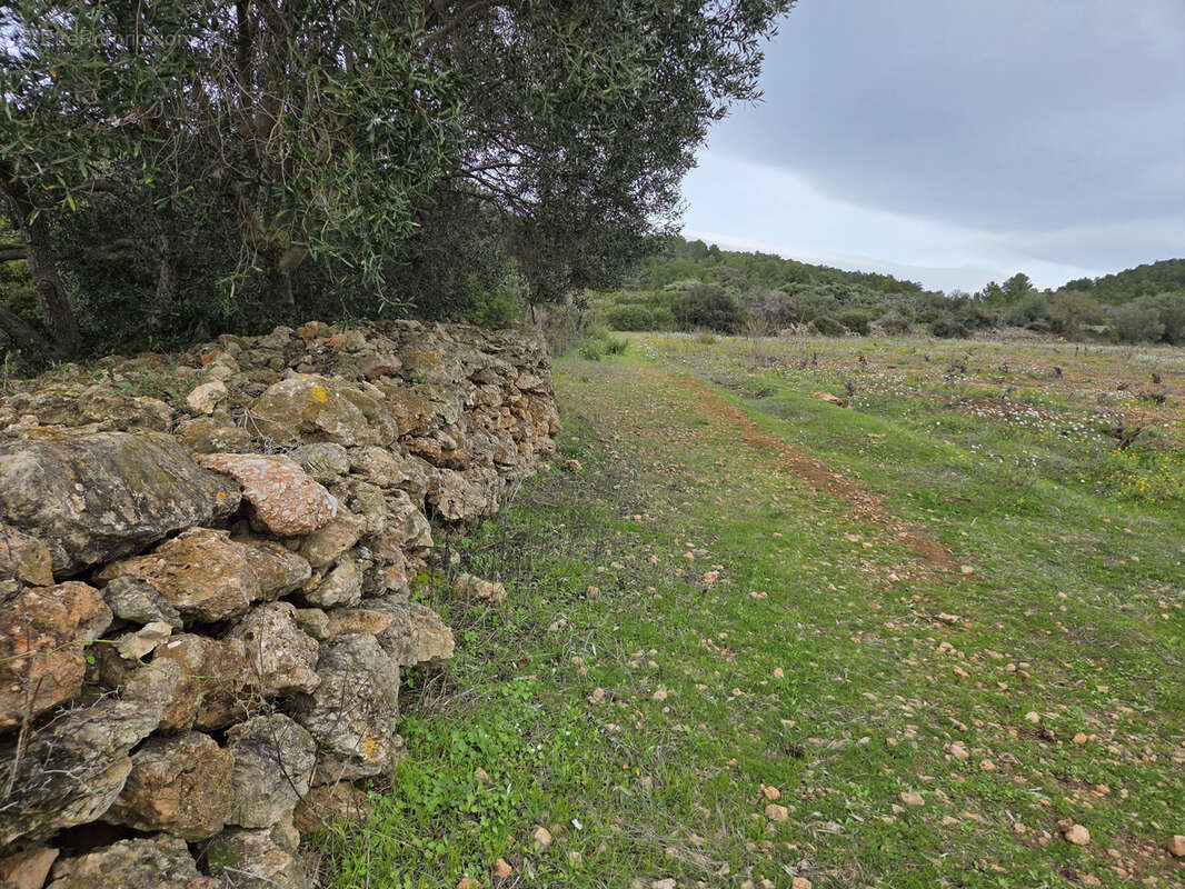 Terrain à FRONTIGNAN