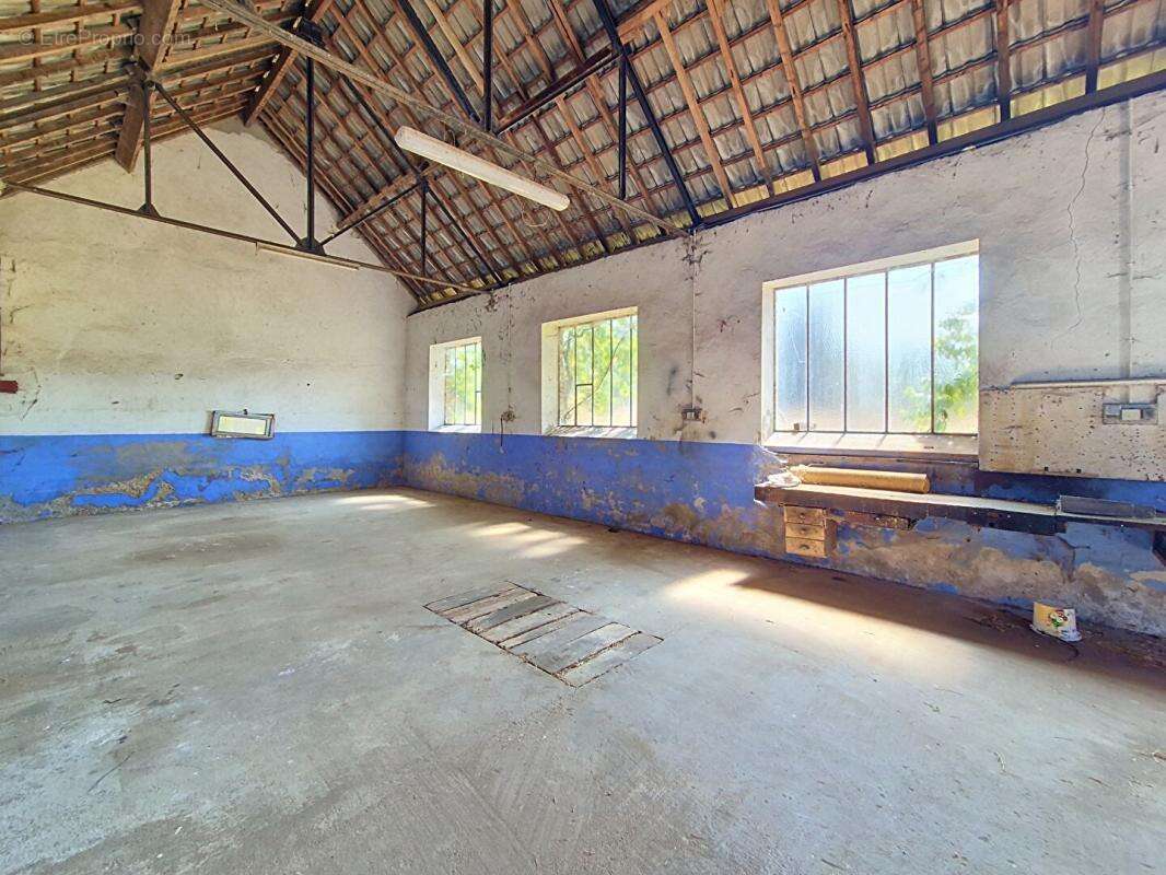 Un domaine de 11,6 hectares aux portes d'Avord - photo 5