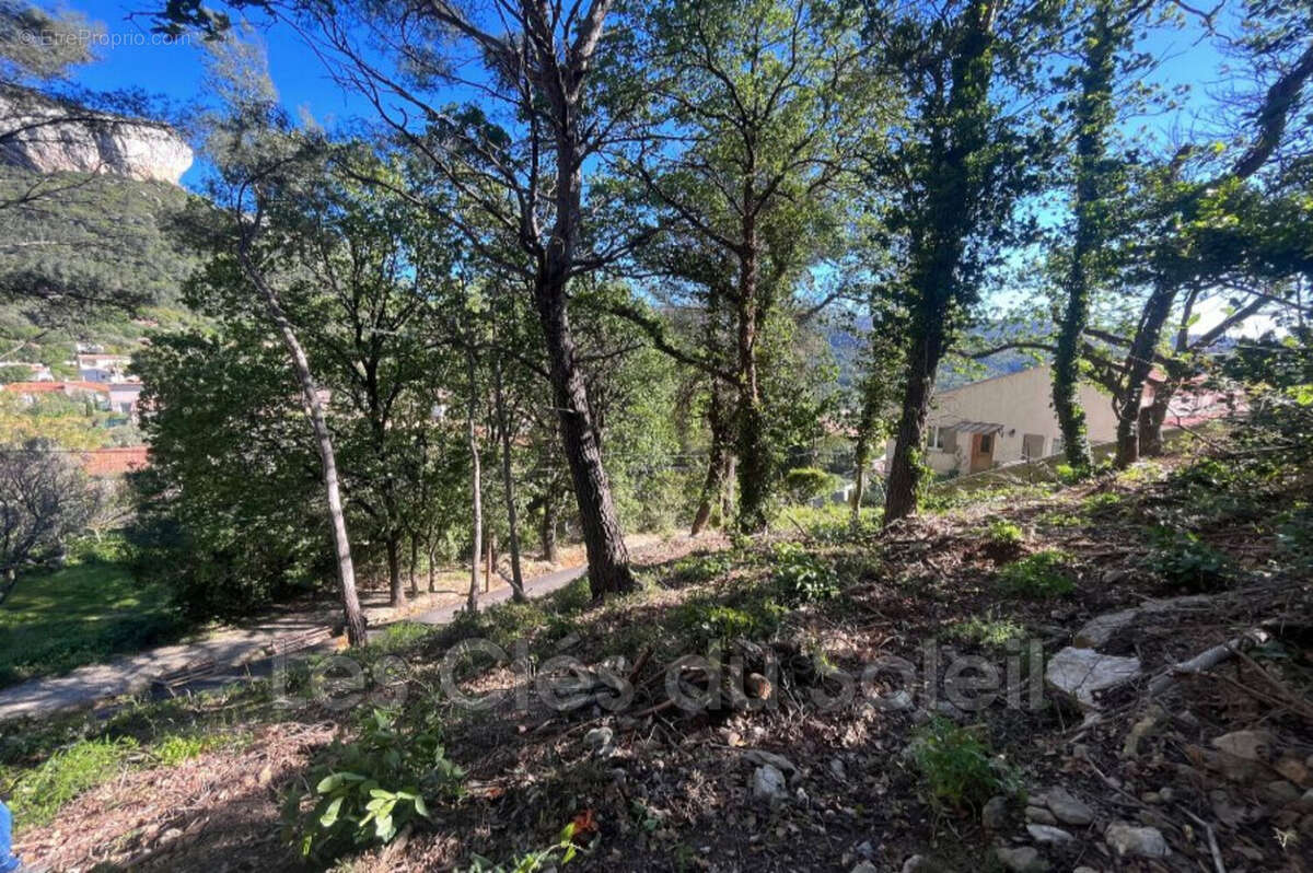 Terrain à LE REVEST-LES-EAUX