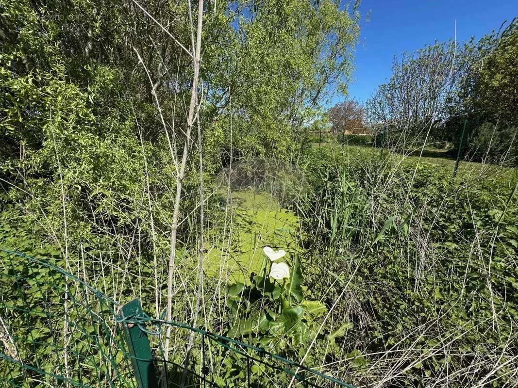 Maison à BOULOGNE-SUR-GESSE
