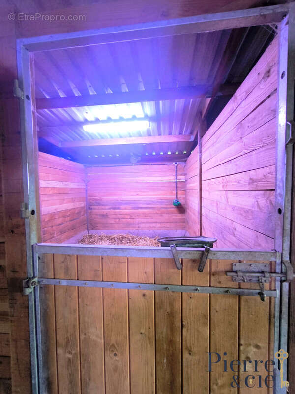 Maison à SAINT-SAUVEUR-DE-CARROUGES