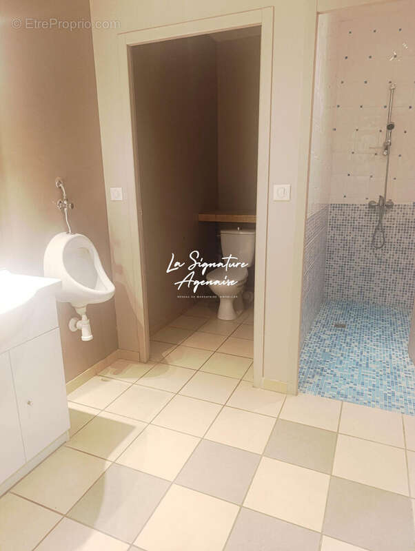 Maison 953 m² à Lavardac  - photo 8