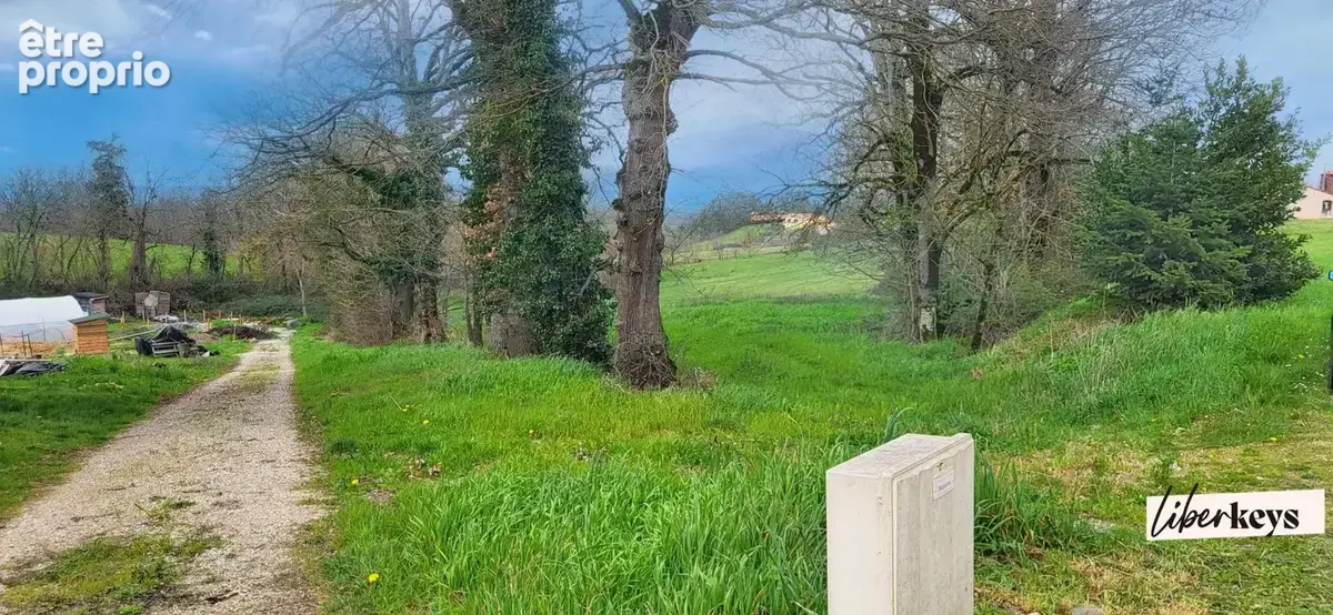 Terrains constructibles 2 hectares - Opportunité rare - Projet de Lotissement - photo 3