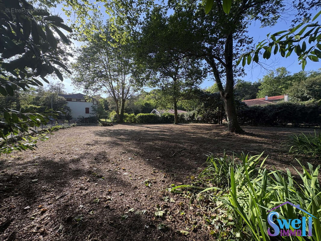 Terrain à MESSANGES