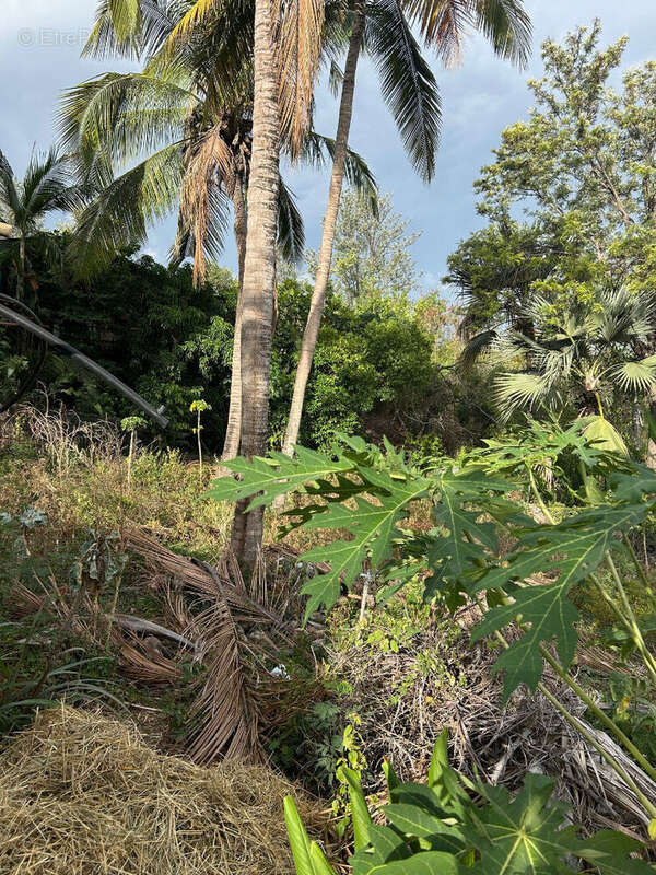 Terrain à L'ETANG-SALE