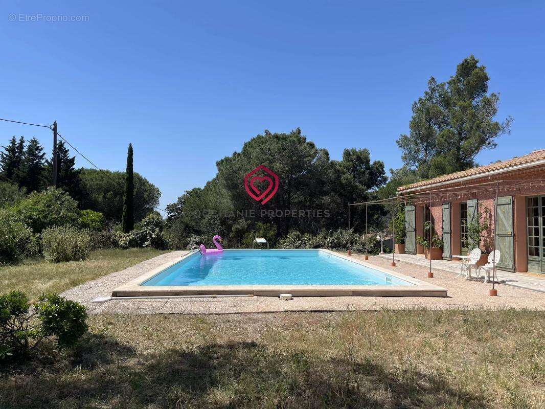 Propriété de campagne avec piscine, maison d'amis et oliveraie au cœur des Corbières - photo 3