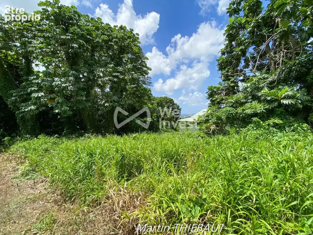 Terrain 631 m² à vendre à Le Lamentin (97232) - photo 4