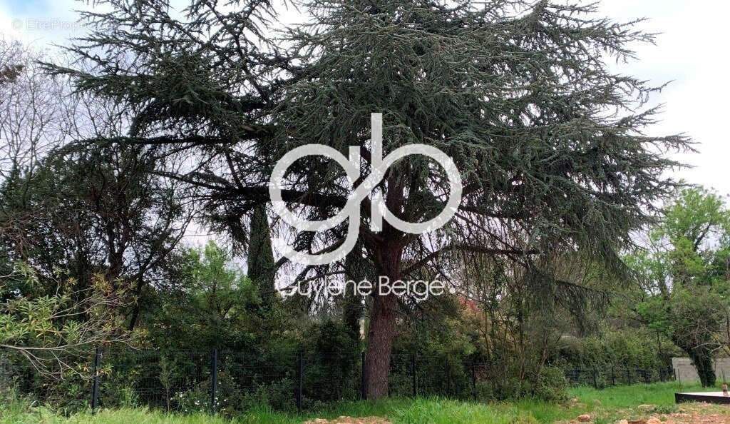 Maison à MONTPELLIER