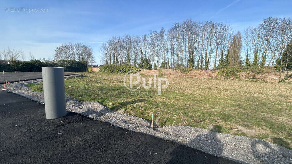 Terrain à BOIS-BERNARD