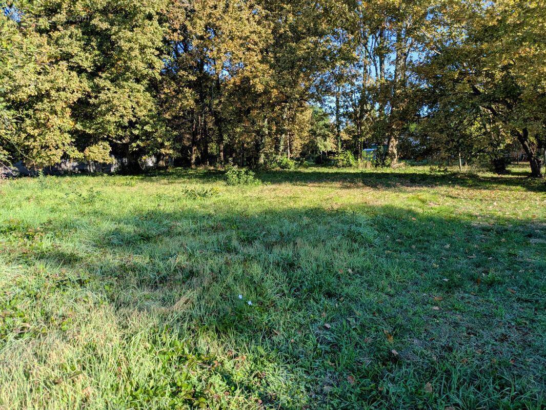 Terrain à LESPARRE-MEDOC