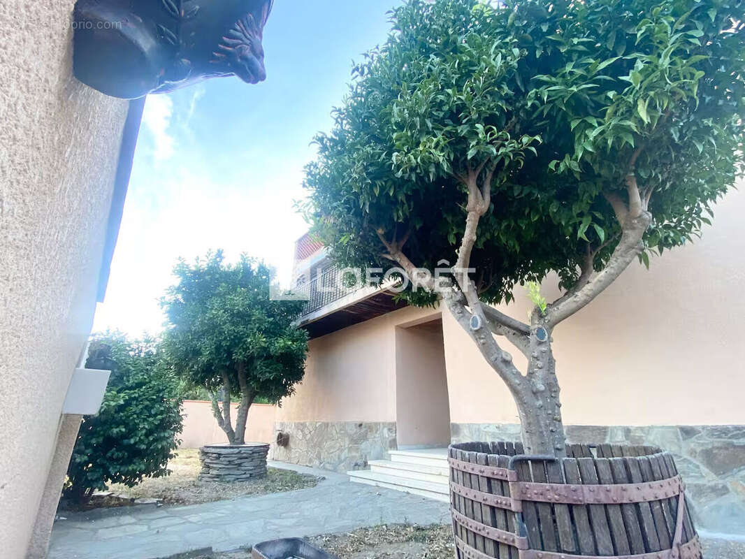 Maison à PERPIGNAN