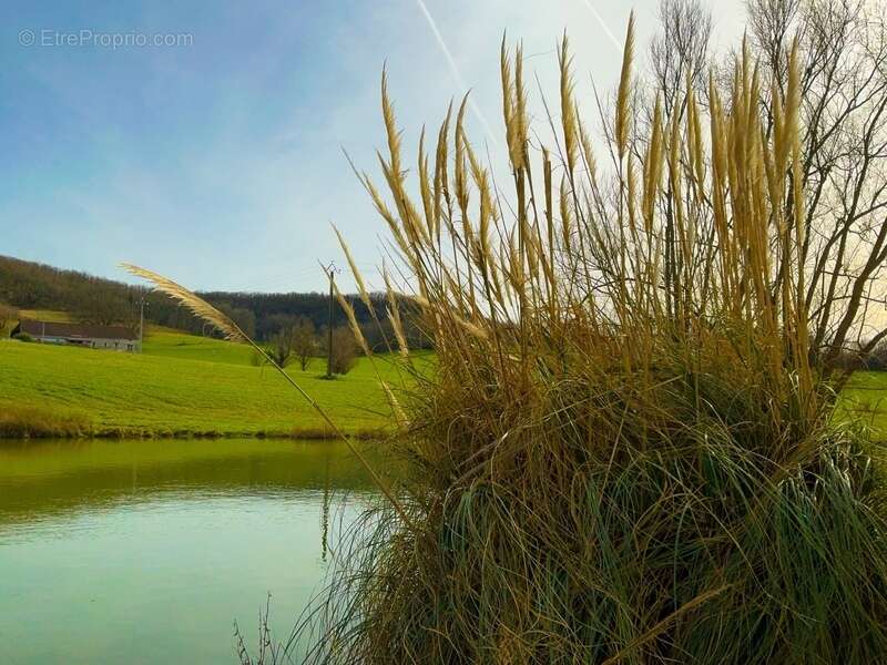 Maison à PENNE-D'AGENAIS
