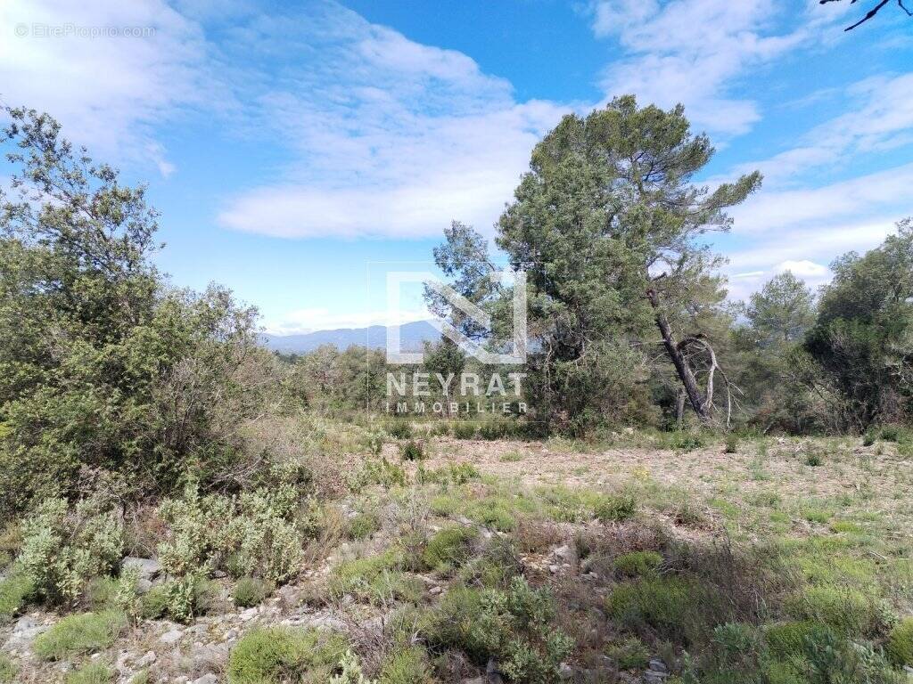 Terrain à MONTAUROUX