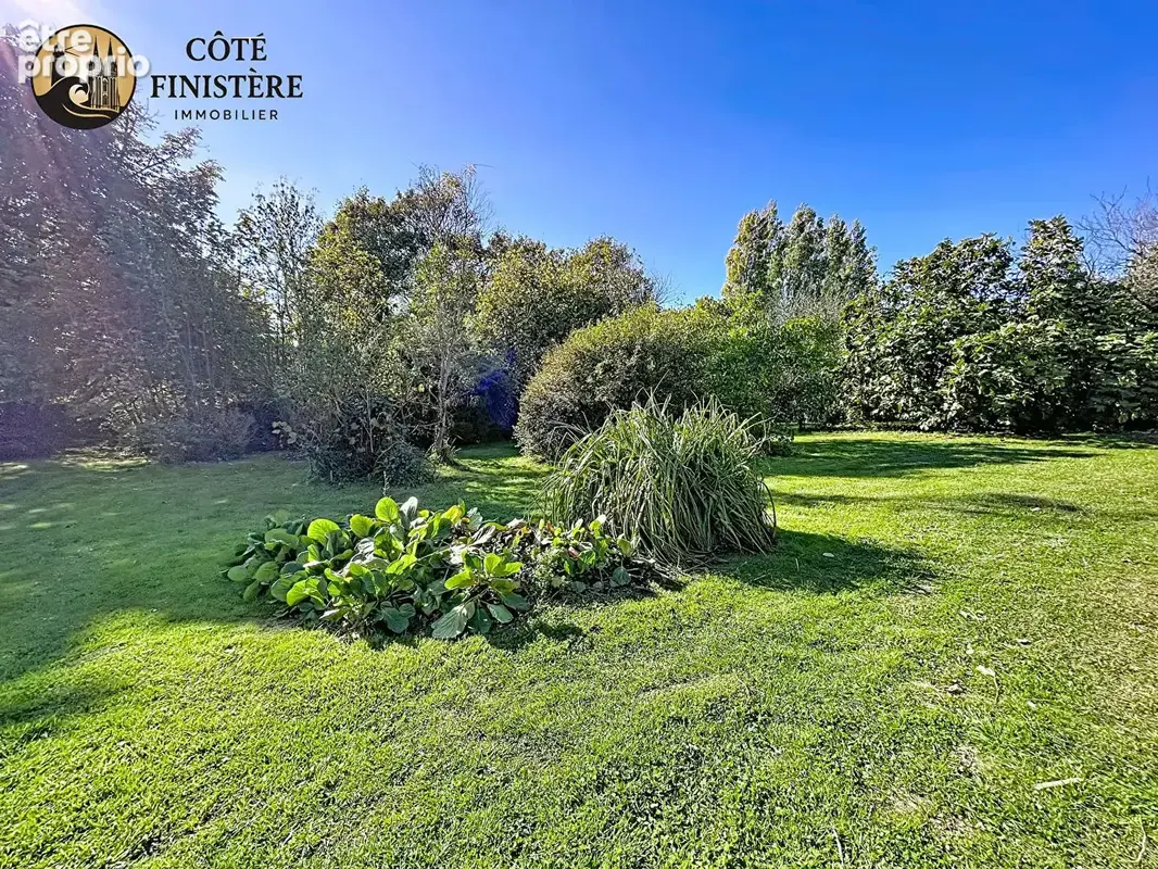 Seulement chez nous ! - photo 16