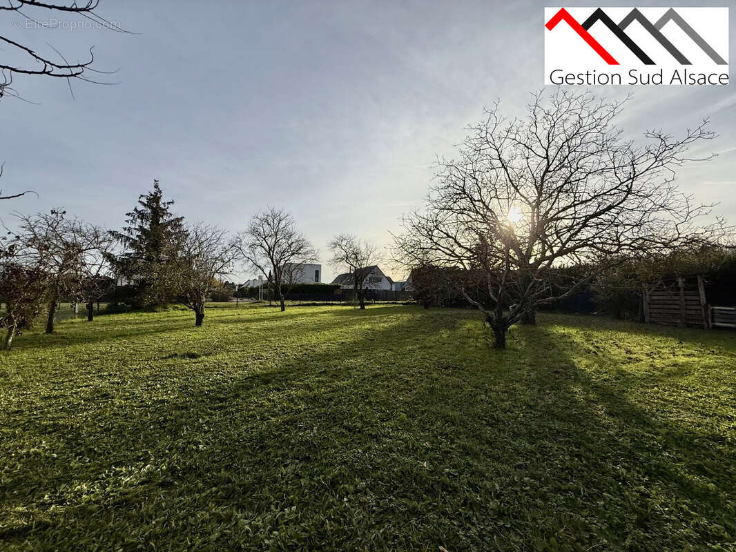 Terrain à WITTENHEIM