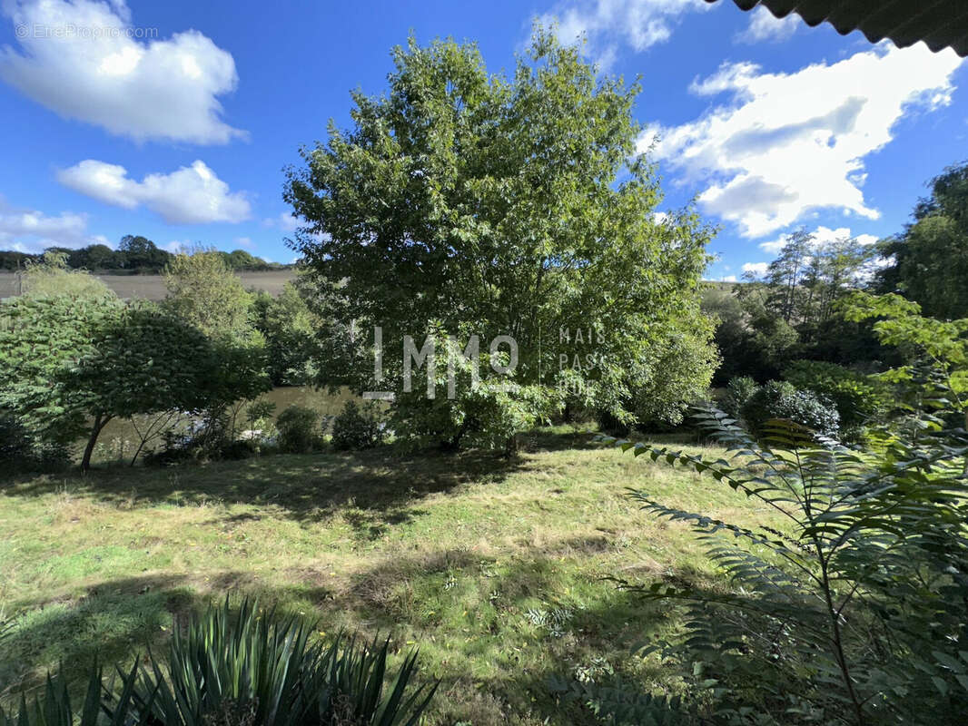 Terrain à MONTREUIL-LE-HENRI