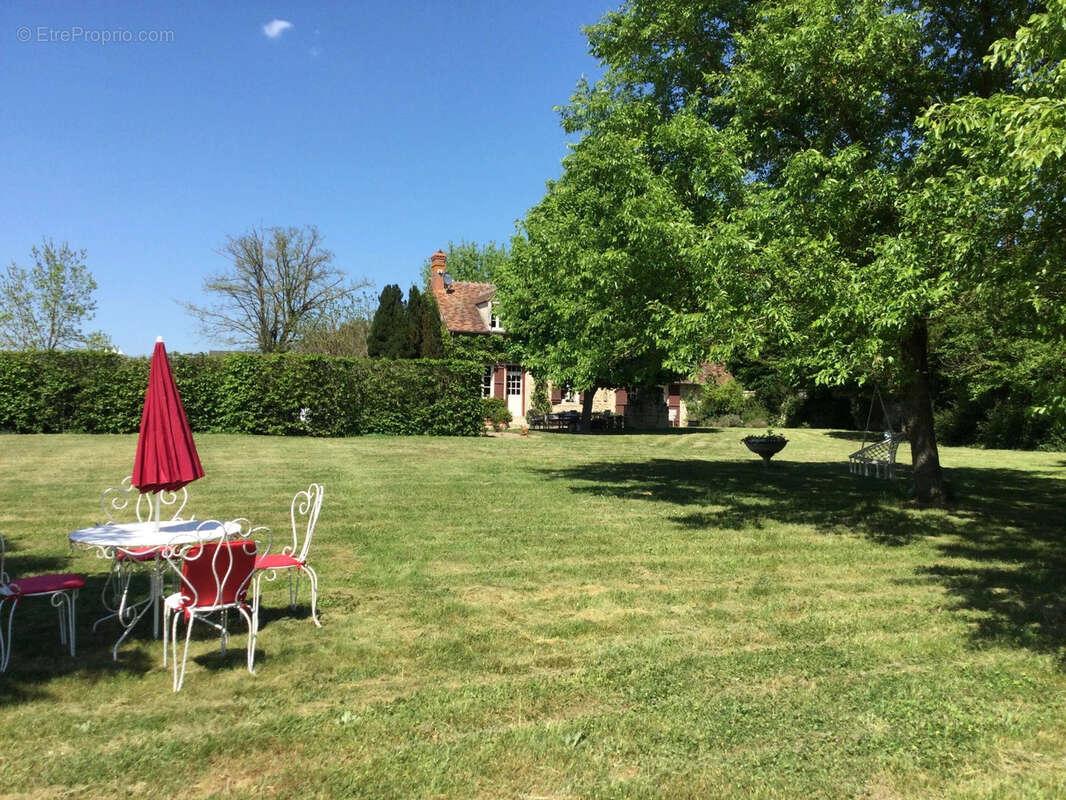 Propriété d'exception au Châtelet : 3,5 ha de nature avec piscine ! - photo 7