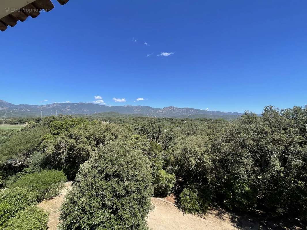 Maison à PORTO-VECCHIO