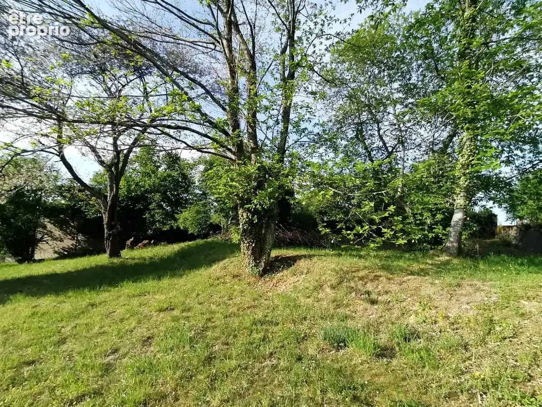 Terrain 1 478 m² à vendre à La Souterraine (23300) - photo 3