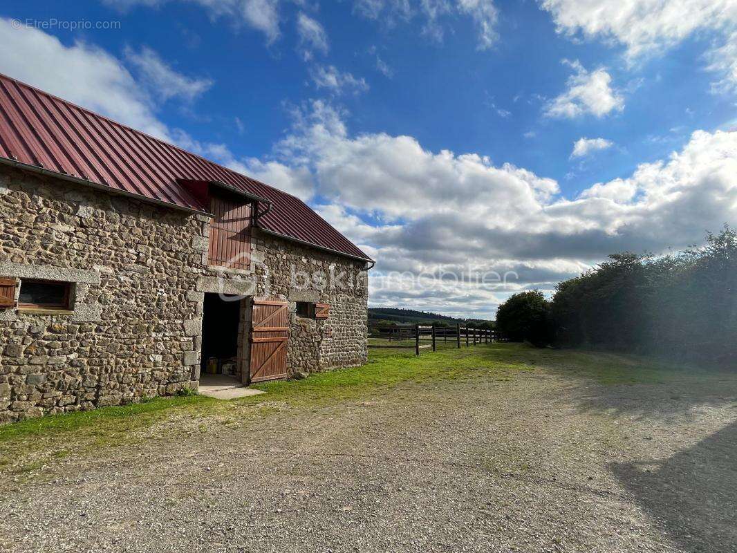 Magnifique propriété avec son exploitation équestre et 37 hectares de terrain - photo 6