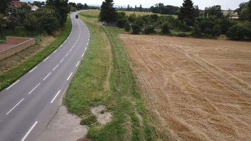 Terrain de loisirs - photo 4