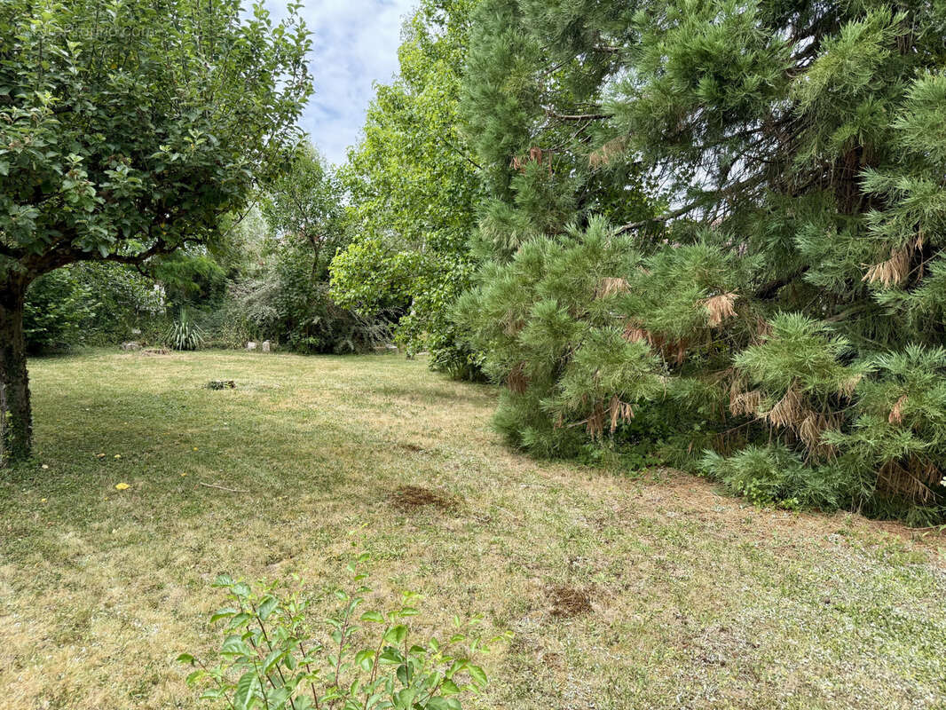 Magnifique propriété type 6 sur 1900 m2 de terrain sur sous-sol total - photo 13