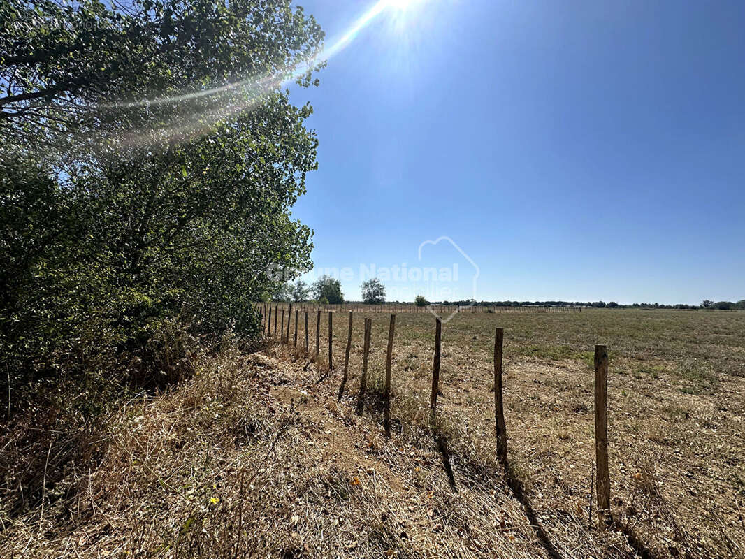 Mazet sur Terrain agricole Marsillargues - photo 4