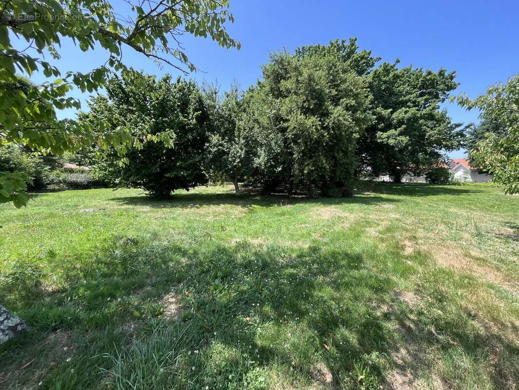 Terrain à BISCARROSSE