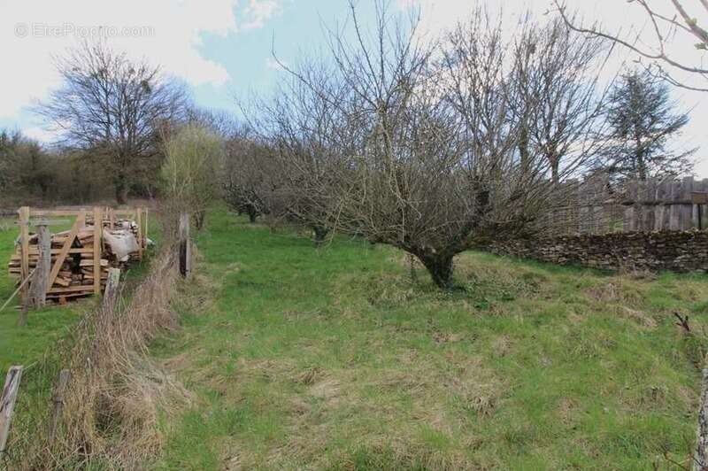 Maison à vendre 4 pièces BRINON SUR BEUVRON (58) - photo 14