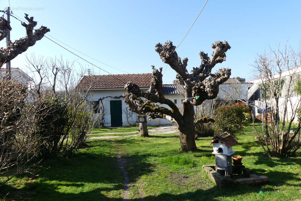 Maison traditionnelle de plain-pied avec terrasse et jardin de 1018 m2 - photo 4