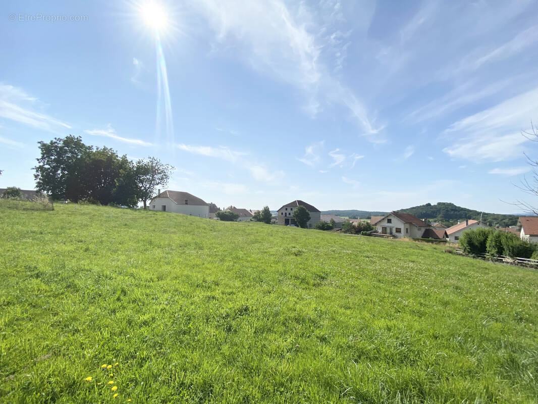 Terrain à FOUCHERANS