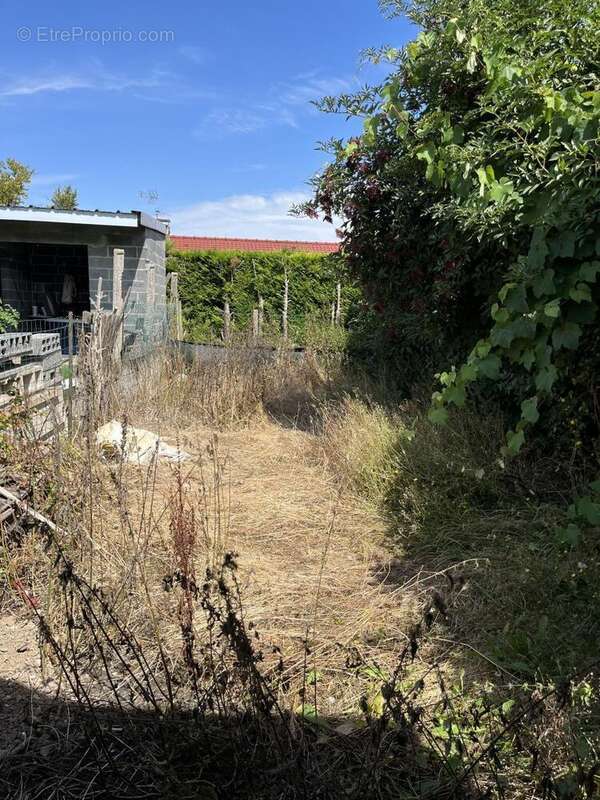Maison à MONTIGNY-EN-GOHELLE