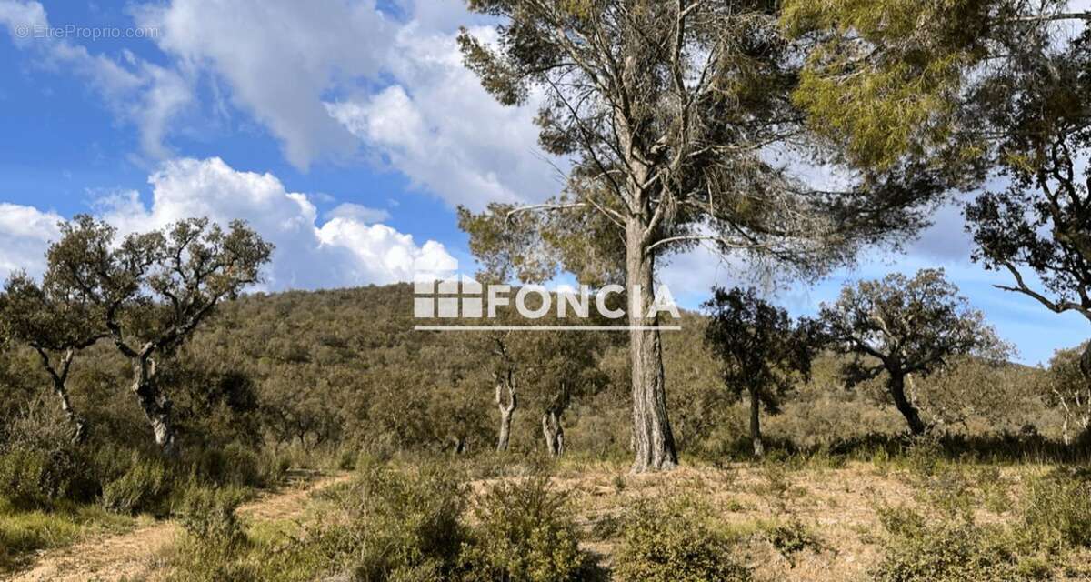 Terrain à LA LONDE-LES-MAURES