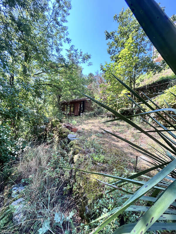 En Cévennes, maison avec terrain, à vendre - photo 4