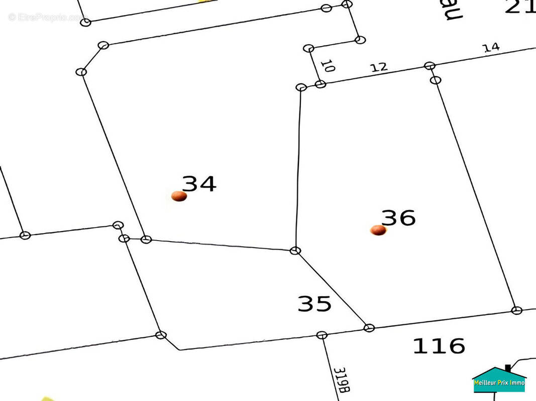 Terrain à SAINT-HILAIRE-DE-RIEZ
