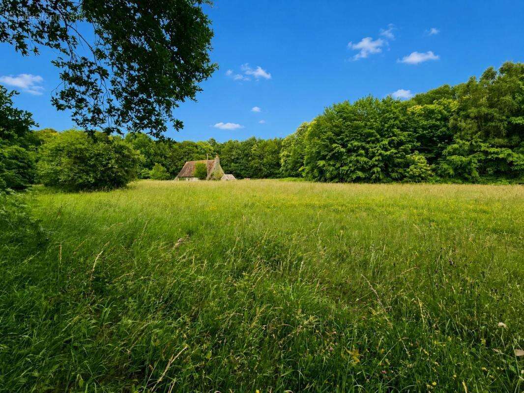 Maison du XVe siècle – 1 ha – Calme absolu – 10 min du Mans - photo 7