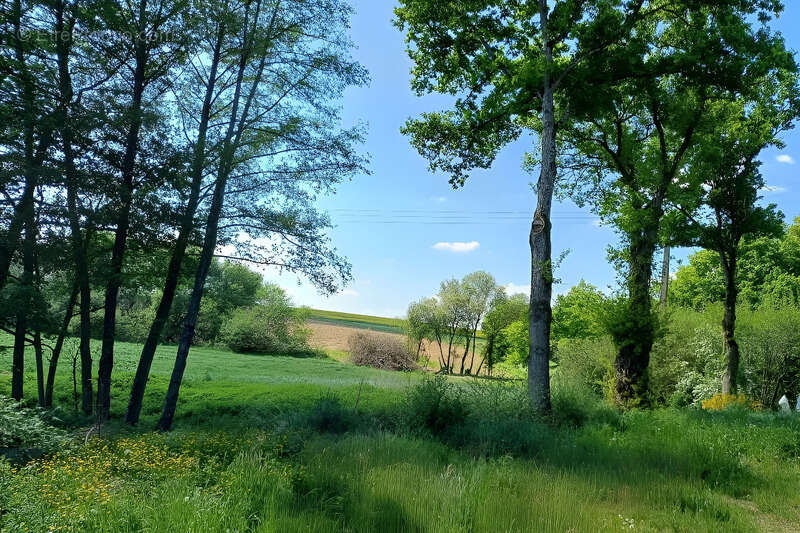 Maison à PIRE-SUR-SEICHE