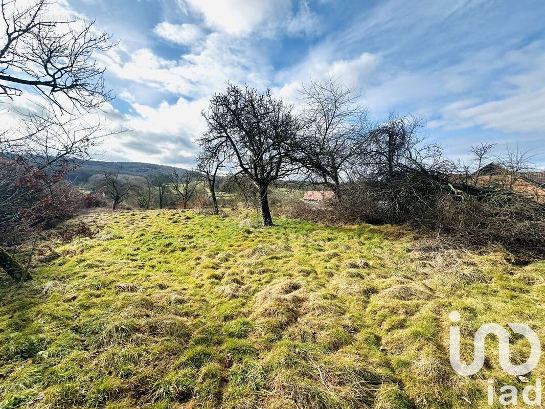 Photo 5 - Terrain à RECHESY