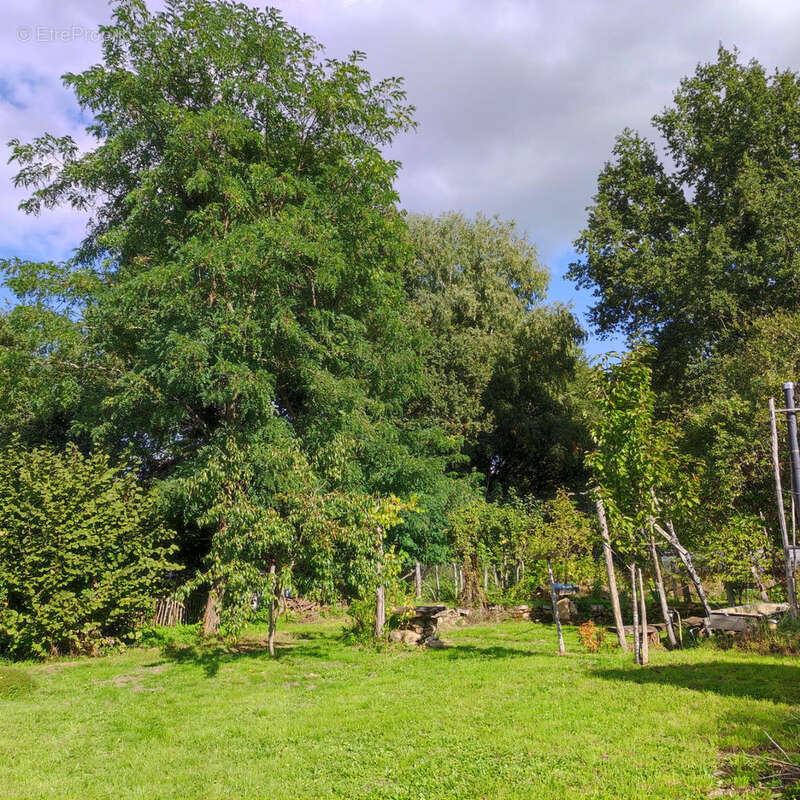 Maison à ROCHECHOUART